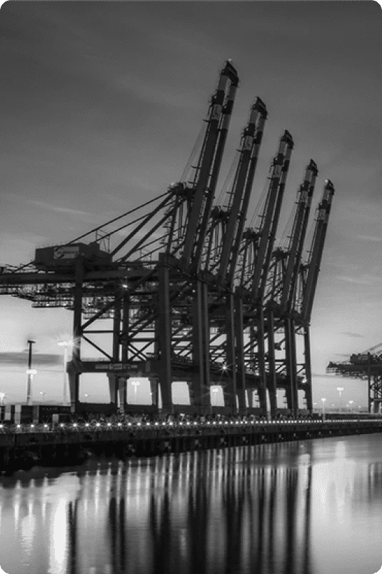 Black and White Photo of Port Cranes